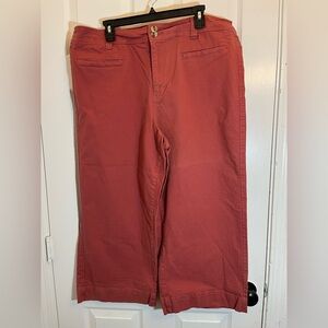 A New Day Stretch Chino Wide Leg Pants Womens 18 Terracotta NEW